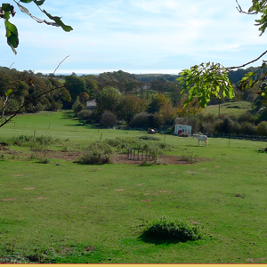 Edgeland Landscapes: Painting